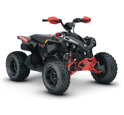 RENEGADE X XC 110 EFI